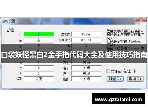 口袋妖怪黑白2金手指代码大全及使用技巧指南