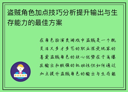 盗贼角色加点技巧分析提升输出与生存能力的最佳方案