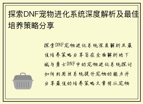 探索DNF宠物进化系统深度解析及最佳培养策略分享
